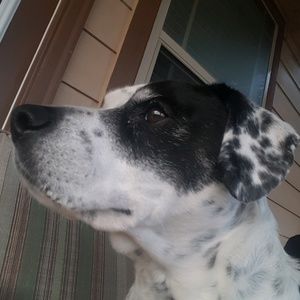 Meet your Posher, Dianna